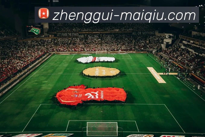 正规买球平台生态图